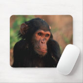 Afrika, Ostafrika, Tansania Mousepad (Mit Mouse)