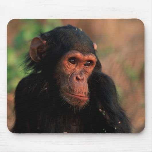 Afrika, Ostafrika, Tansania Mousepad (Vorne)