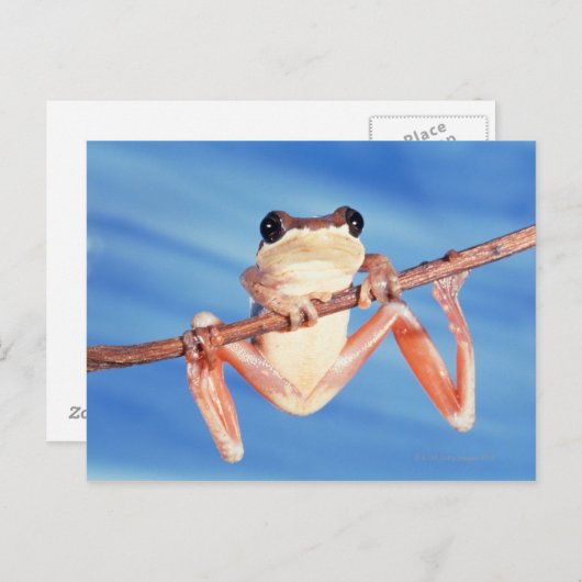 Afrika Postkarte (Vorne/Hinten)