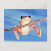 Afrika Postkarte (Vorderseite)