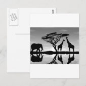 Afrika Postkarte (Vorne/Hinten)