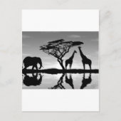Afrika Postkarte (Vorderseite)