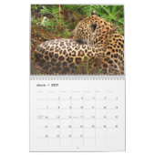 Afrika-Safari-Kalender 2018 Kalender (Mär 2027)