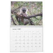 Afrika-Safari-Kalender 2018 Kalender (Jan 2027)