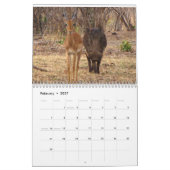 Afrika-Safari-Kalender 2018 Kalender (Feb 2027)