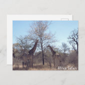 Afrika Safari Postkarte (Vorne/Hinten)