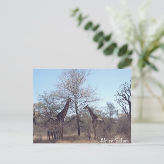 Afrika Safari Postkarte (Stehend Vorderseite)