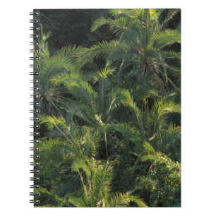 Afrika, Sambia, Nationalpark Mosi-Oa-Tunya, Notizblock