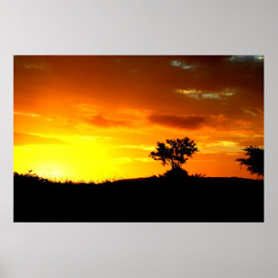 Afrika-Schlaf Poster