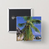 Afrika, Seychellen, La Digue Island. Granit 2 Button (Vorne & Hinten)