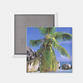 Afrika, Seychellen, La Digue Island. Granit 2 Magnet (Vorderseite/Rückseite)