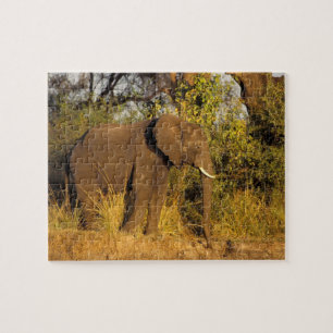 Afrika, Simbabwe, Victoria-Fälle-Nationalpark. Puzzle