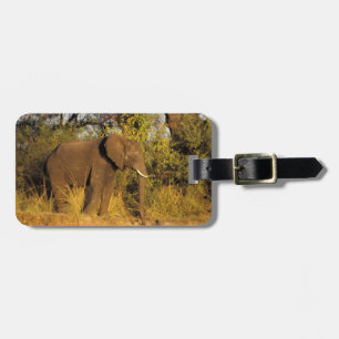 Afrika, Simbabwe, Victoria Falls National Park. Gepäckanhänger