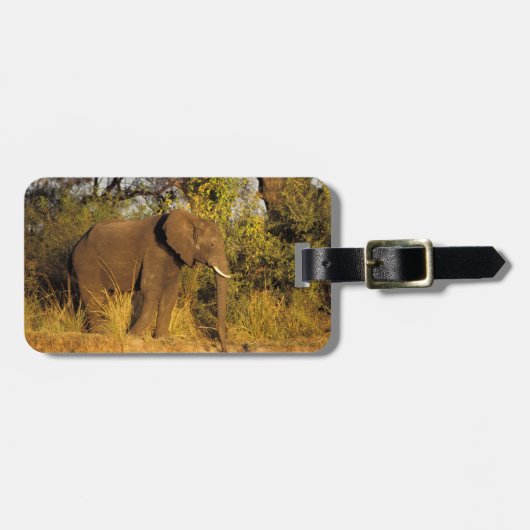 Afrika, Simbabwe, Victoria Falls National Park. Gepäckanhänger (Vorderseite horizontal)