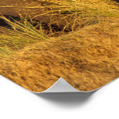 Afrika, Simbabwe, Victoria Falls National Park. Poster (Ecke)