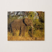 Afrika, Simbabwe, Victoria Falls National Park. Puzzle (Horizontal)