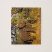 Afrika, Simbabwe, Victoria Falls National Park. Puzzle (Vertikal)