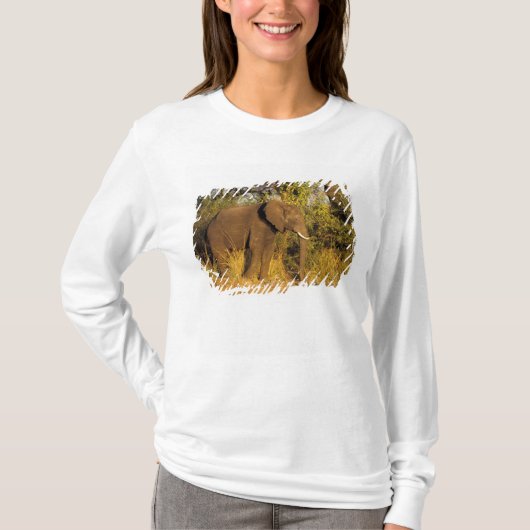 Afrika, Simbabwe, Victoria Falls National Park. T-Shirt (Vorderseite)