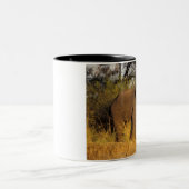 Afrika, Simbabwe, Victoria Falls National Park. Zweifarbige Tasse (Mittel)