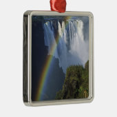 Afrika, Simbabwe, Victoria Falls Silbernes Ornament (Rechts)