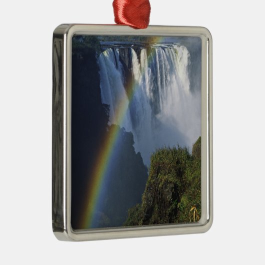 Afrika, Simbabwe, Victoria Falls Silbernes Ornament (Rechts)