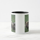 Afrika, Südafrika, in der Nähe von Gansbaii, im In Tasse (Zentrum)
