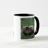 Afrika, Südafrika, in der Nähe von Gansbaii, im In Tasse (VorderseiteRechts)