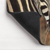 Afrika, Südafrika, Krüger NP Zebra-Portrait Mousepad (Ecke)