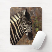 Afrika, Südafrika, Krüger NP Zebra-Portrait Mousepad (Mit Mouse)