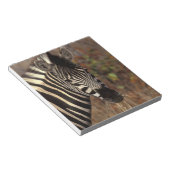 Afrika, Südafrika, Krüger NP Zebra-Portrait Notizblock (angewinkelt)