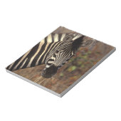Afrika, Südafrika, Krüger NP Zebra-Portrait Notizblock (Rotiert)