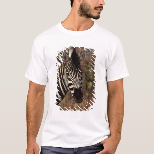 Afrika, Südafrika, Krüger NP Zebra-Portrait T-Shirt (Vorderseite)