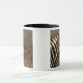 Afrika, Südafrika, Krüger NP Zebra-Portrait Tasse (Zentrum)