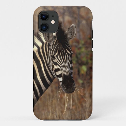 Afrika, Südafrika, Kruger NP Zebraporträt Case-Mate iPhone Hülle (Rückseite)