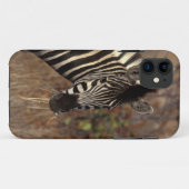 Afrika, Südafrika, Kruger NP Zebraporträt Case-Mate iPhone Hülle (Rückseite (Horizontal))