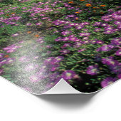 Afrika, Südafrika, Namaqualand, Orange und Fotodruck (Ecke)