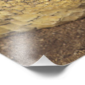 Afrika, Südafrika, Nilkrokodil Fotodruck (Ecke)