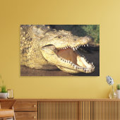 Afrika, Südafrika, Nilkrokodil Leinwanddruck (Insitu (Wohnzimmer))