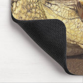 Afrika, Südafrika, Nilkrokodil Mousepad (Ecke)