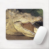 Afrika, Südafrika, Nilkrokodil Mousepad (Mit Mouse)