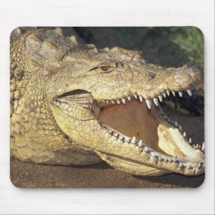 Afrika, Südafrika, Nilkrokodil Mousepad