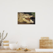 Afrika, Südafrika, Nilkrokodil Poster (Küche)