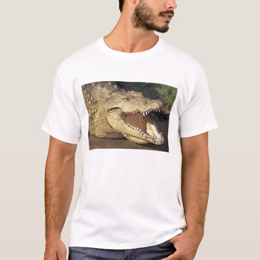 Afrika, Südafrika, Nilkrokodil T-Shirt (Vorderseite)