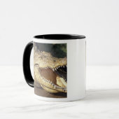 Afrika, Südafrika, Nilkrokodil Tasse (Vorderseite Links)