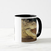 Afrika, Südafrika, Nilkrokodil Tasse (VorderseiteRechts)