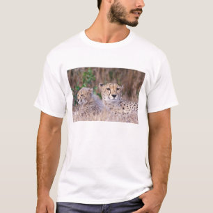 Afrika, Südafrika, Tswalu-Reservat. Geparden T-Shirt