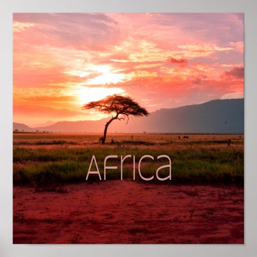 Afrika Sunset African Poster (Vorne)