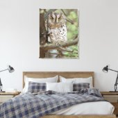 Afrika. Tansania Afrikanischer Scops Schüssel bei Leinwanddruck (Insitu (Schlafzimmer))