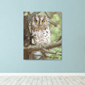 Afrika. Tansania Afrikanischer Scops Schüssel bei Leinwanddruck (Insitu (Holzboden))