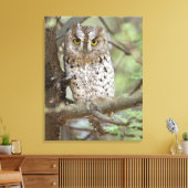 Afrika. Tansania Afrikanischer Scops Schüssel bei Leinwanddruck (Insitu (Wohnzimmer))